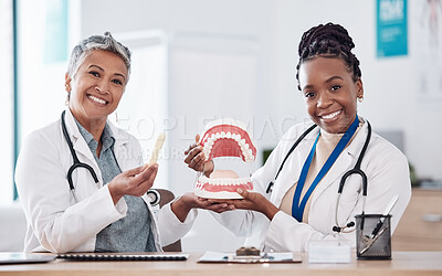 Buy stock photo Dentures, healthcare team or portrait of dentist for dental wellness, teeth whitening or oral care. Happy, medical clinic or orthodontist smile with mold for mouth hygiene, tooth or mouth cleaning