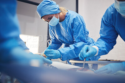 Buy stock photo Woman, medical group or surgery operation, hospital support and doctors healing wound, injury or patient anatomy. Cancer treatment, ICU team or closeup surgeon collaboration in operating room theater