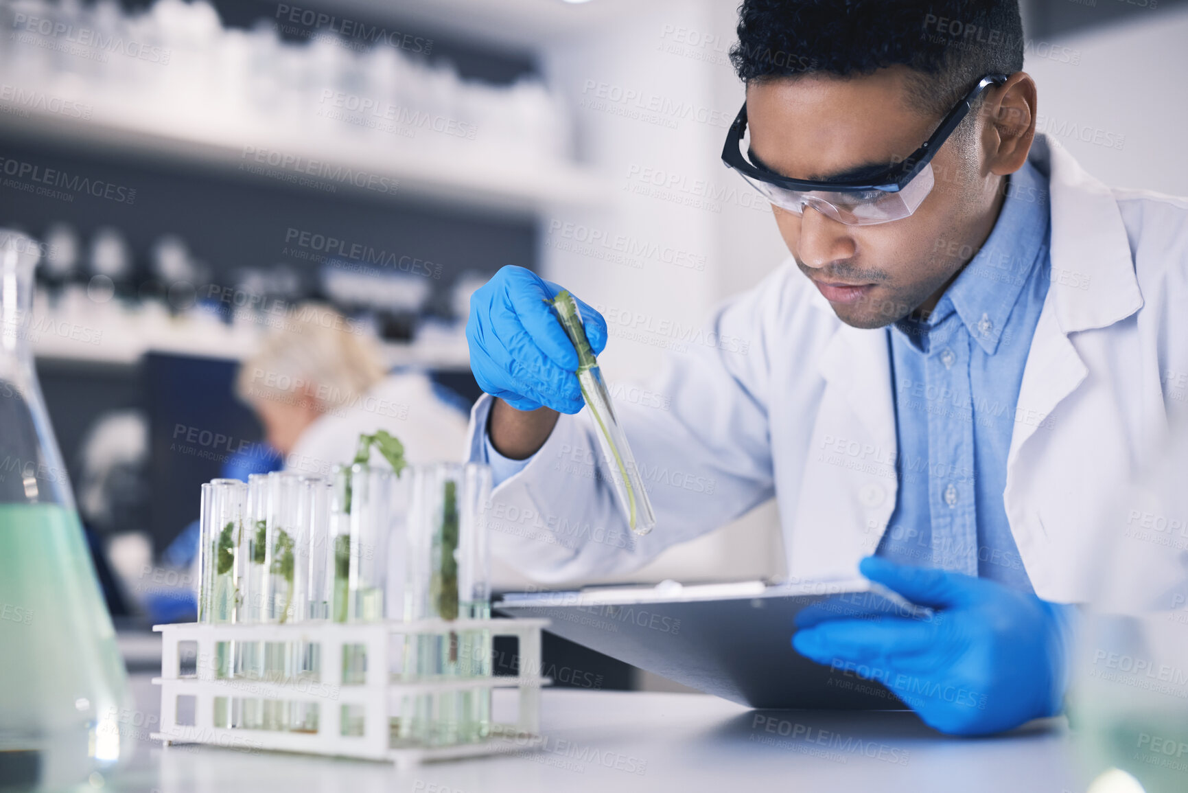 Buy stock photo Science, plants and man with checklist in laboratory, research and thinking with nature. Biotech, pharmaceutical study and scientist with clipboard, lab technician checking solution in test tube.