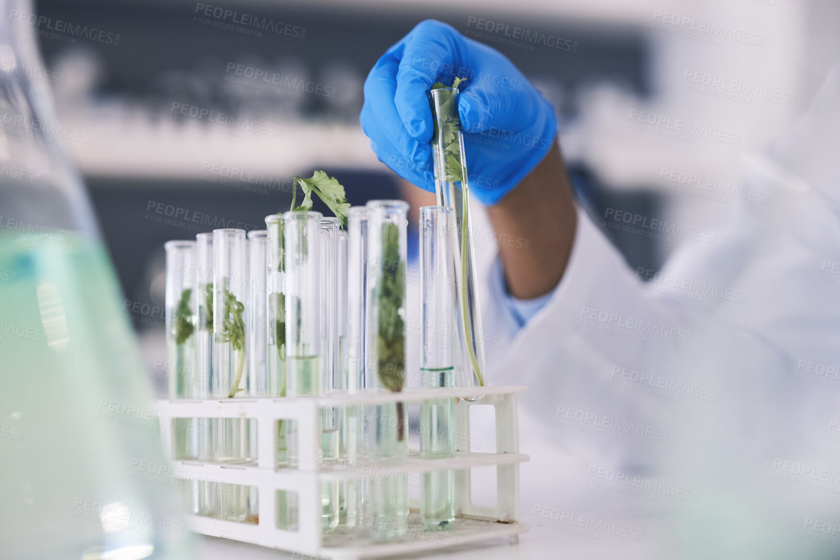Buy stock photo Science, plants and hands with test tube in laboratory, research and thinking with nature. Biotechnology, pharmaceutical study and scientist with leaf, lab technician checking green solution in glass