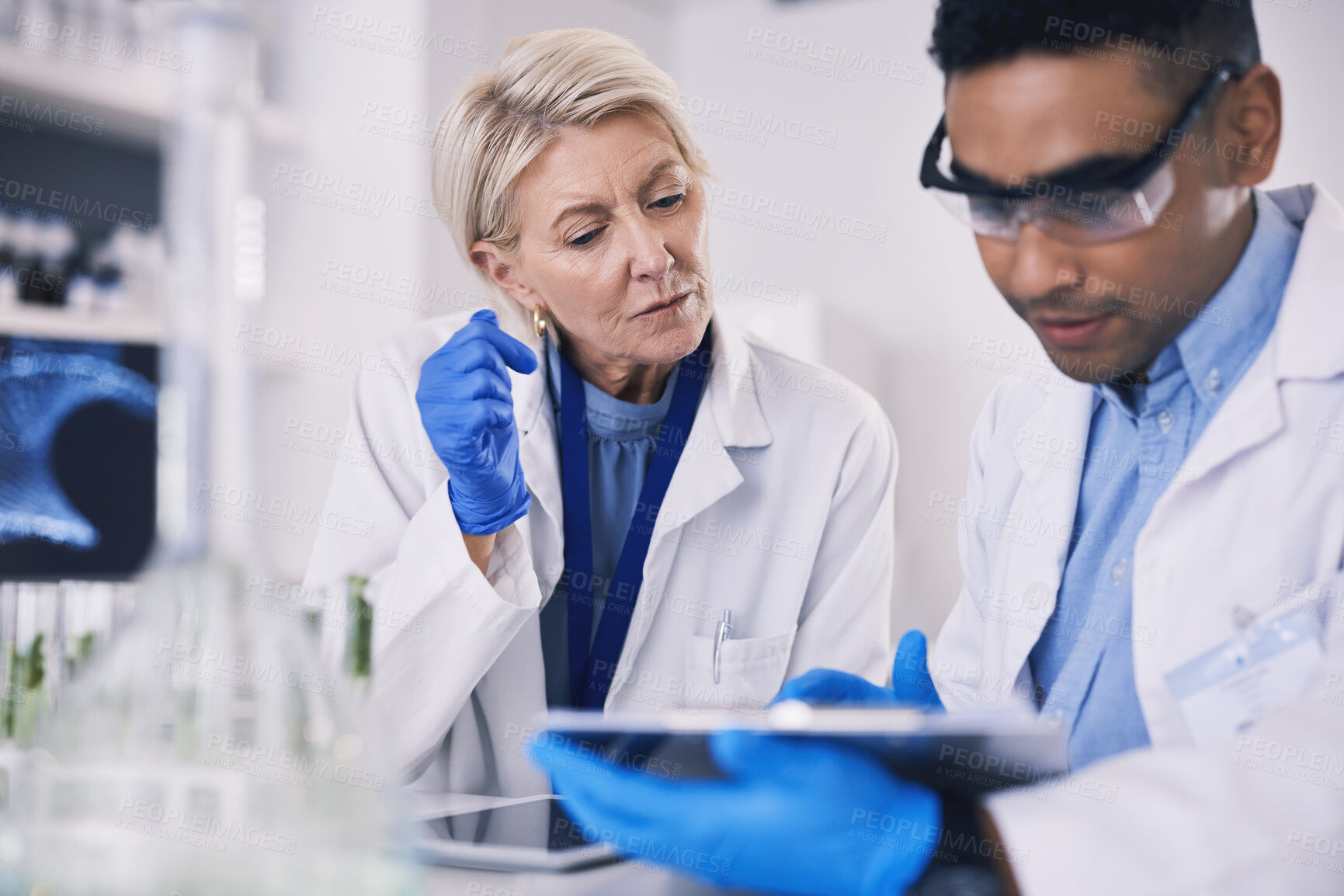 Buy stock photo Science, man and woman with checklist, plants in laboratory and research on sustainability in future technology. Biotech, study or scientist team with leaves in test tube and problem solving together