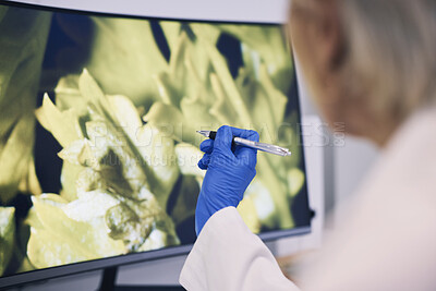 Buy stock photo Science, hand and computer monitor in a laboratory for research, innovation or sustainability. Technology, future and ecology with a scientist in a lab to study biology or plant life closeup