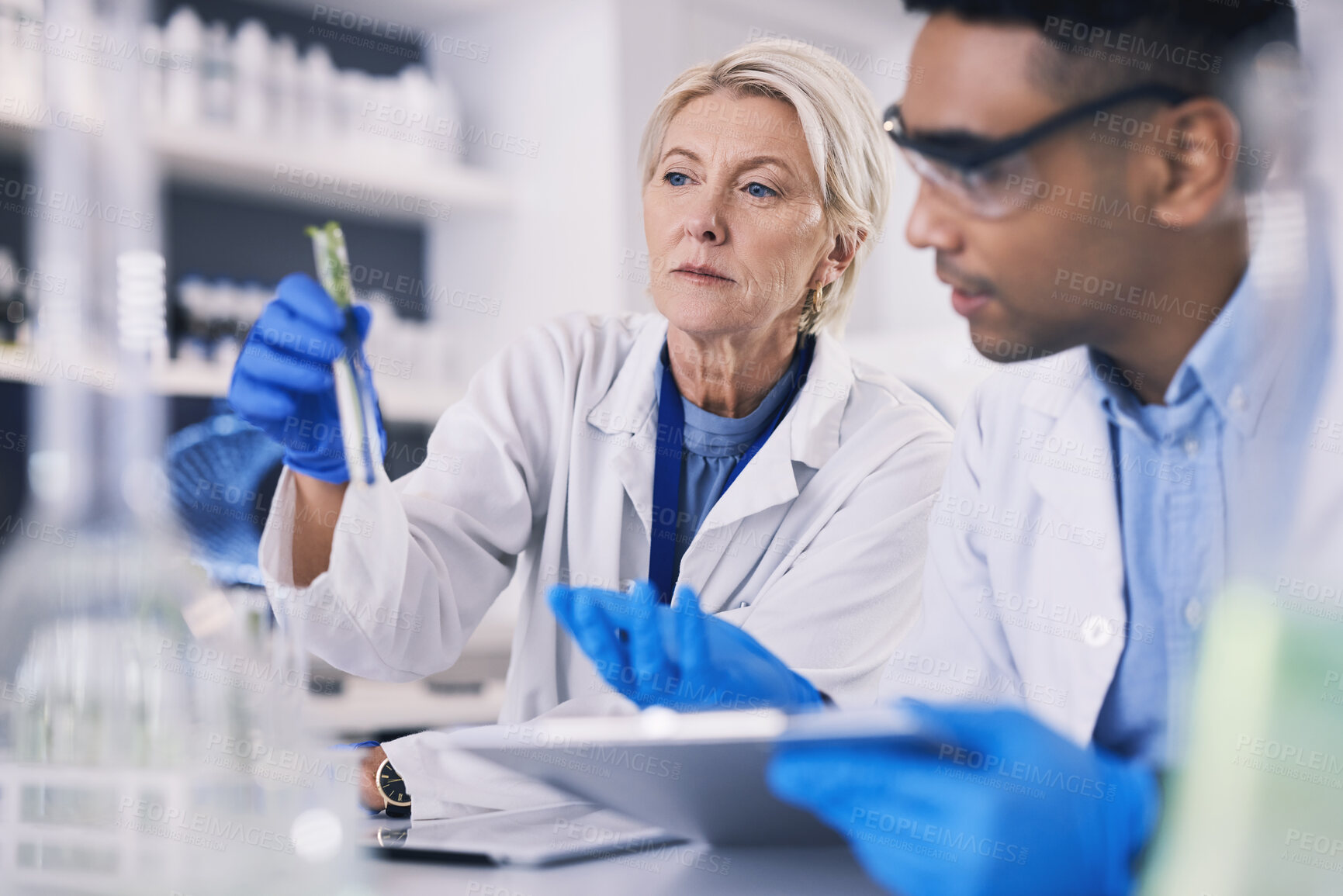 Buy stock photo Science, man and woman with test tube, plants in laboratory and research on agro growth. Biotechnology, natural medicine and scientist team with leaves and problem solving for medical agriculture