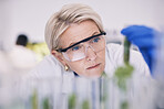 Science, plants and woman with test tube growth in laboratory, research and thinking with nature. Biotech, pharmaceutical study and scientist with leaf, lab technician checking green leaves in glass.