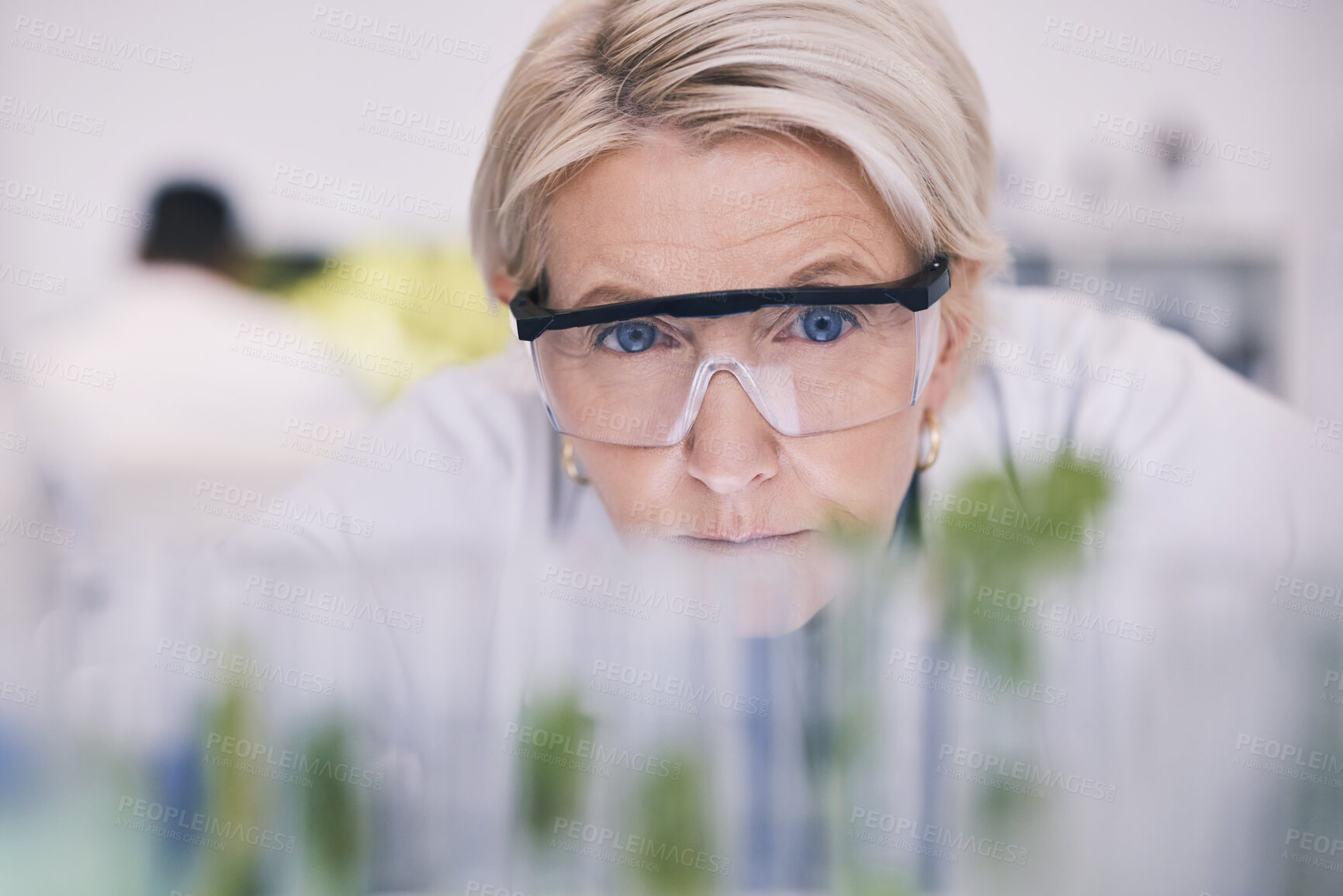 Buy stock photo Science, plants and woman checking test tube in laboratory, research and thinking with nature. Biotechnology, pharmaceutical study and scientist with leaf, lab technician checking solution in glass.