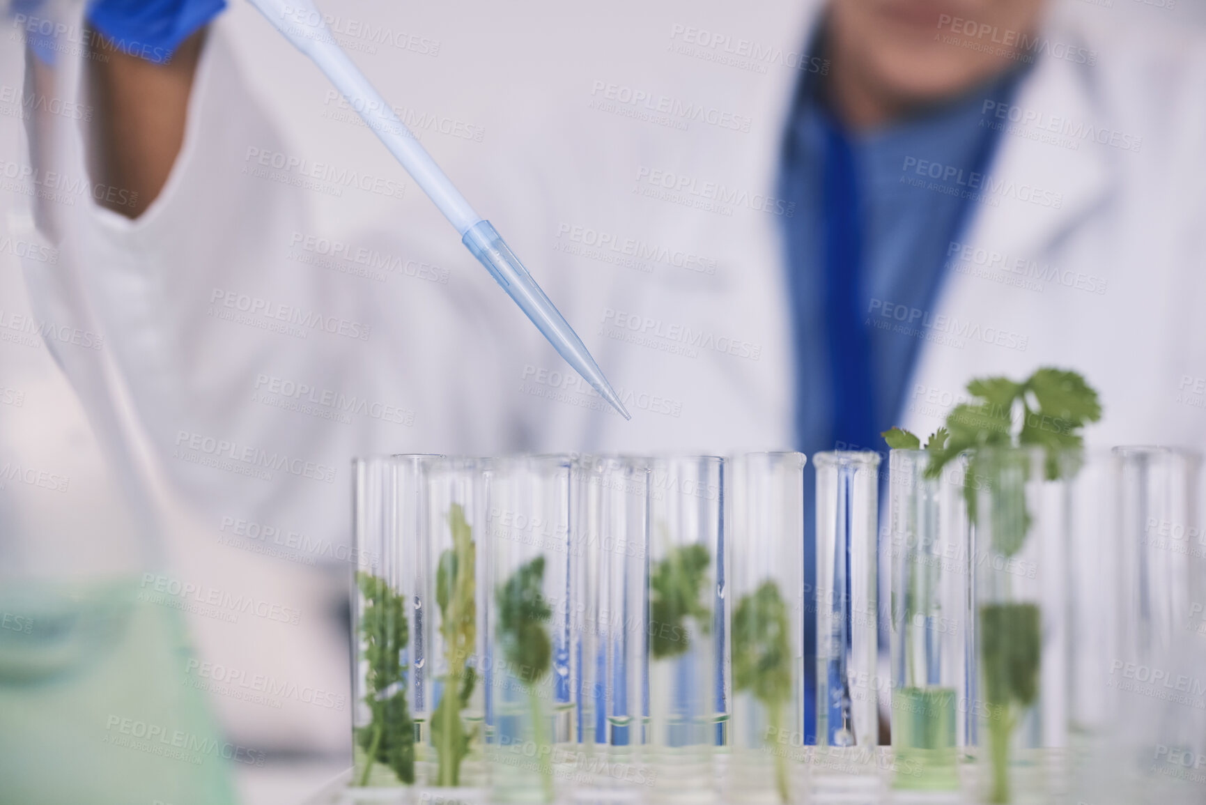 Buy stock photo Science, leaves and hands with test tube in laboratory, research and thinking with nature. Biotechnology, pharmaceutical study and scientist with leaf, lab technician checking green plants in glass.