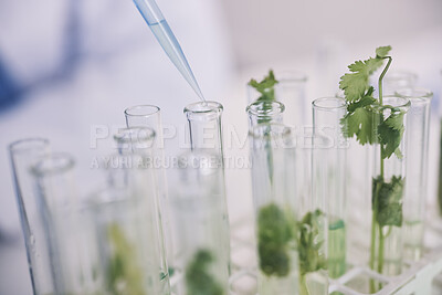 Buy stock photo Science, plants in test tube and lab research on growth and development with leaves in nature. Biotechnology, pharmaceutical study and scientist with pipette, lab technician checking leaf in glass.