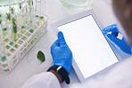 Scientist, plants and mockup on tablet screen in laboratory for data analysis, eco research or sustainable app. Closeup, hands and digital space for biotechnology, science test or biology information