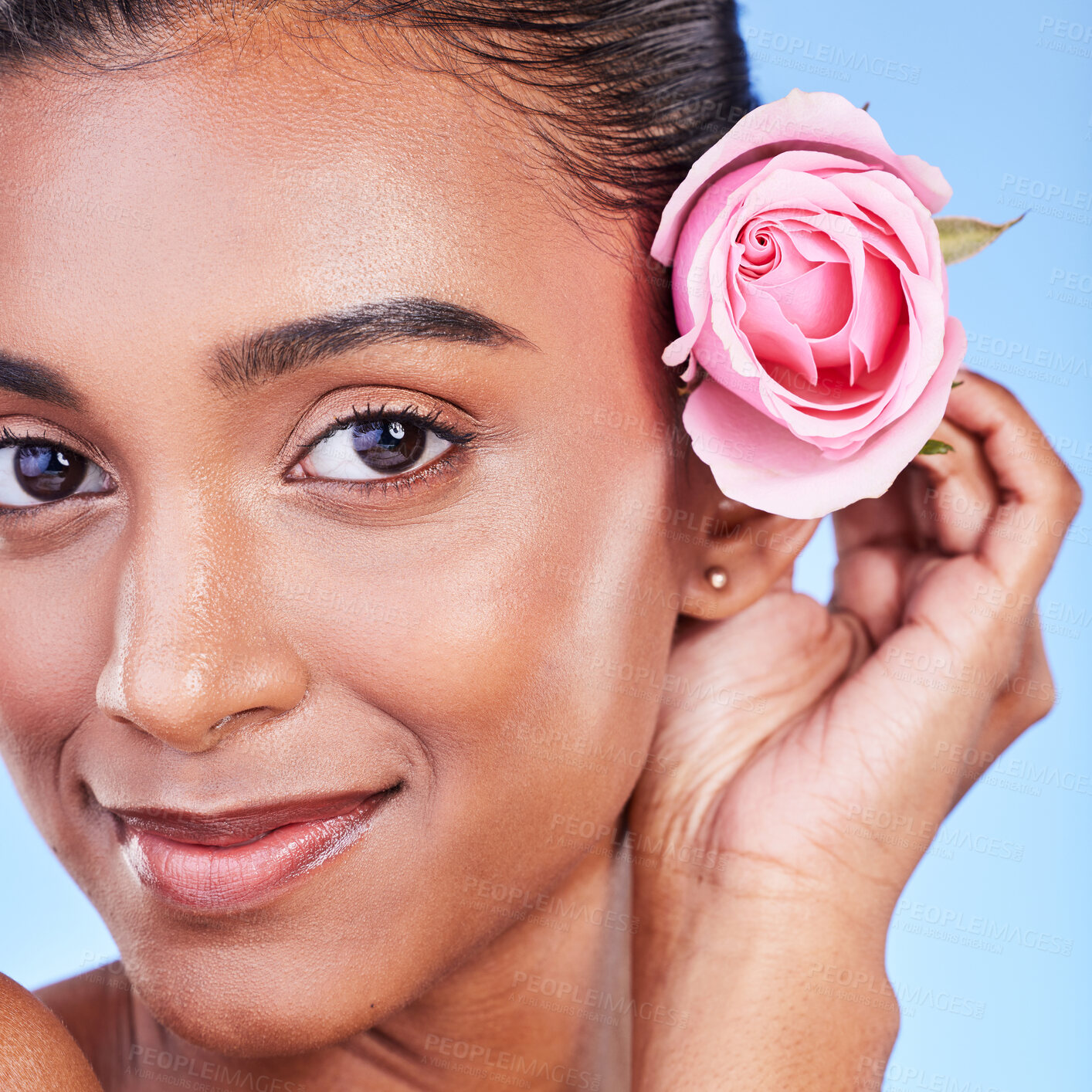 Buy stock photo Rose, portrait and skincare of woman in studio for eco cosmetics, natural glow and aesthetic on blue background. Face, happy indian model and flowers for beauty, sustainability or floral dermatology 