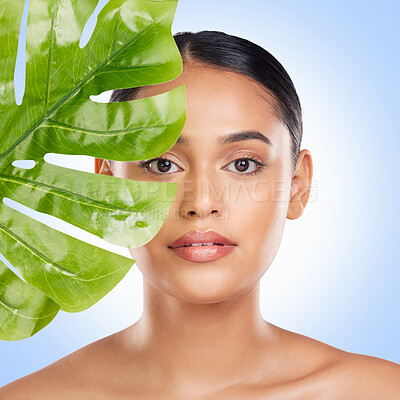 Woman, face and natural beauty with palm leaf, sustainable skincare isolated on blue background. Wellness, skin glow and eco friendly cosmetics, green and product from nature with portrait in studio