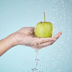 Person, hands and apple in water drops for diet, healthy wellness or eating plan against a blue studio background. Closeup of model holding natural organic green fruit in shower, health or nutrition