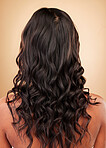 Hair, woman and balayage, back with beauty and cosmetics, shampoo and salon treatment isolated on studio background. Texture, wellness and haircare, curly hairstyle and cosmetology with growth