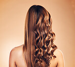 Back view, hair care and woman with beauty and strong texture with growth isolated in a studio brown background. Glow, shine and person with cosmetics aesthetic or natural haircut with shampoo