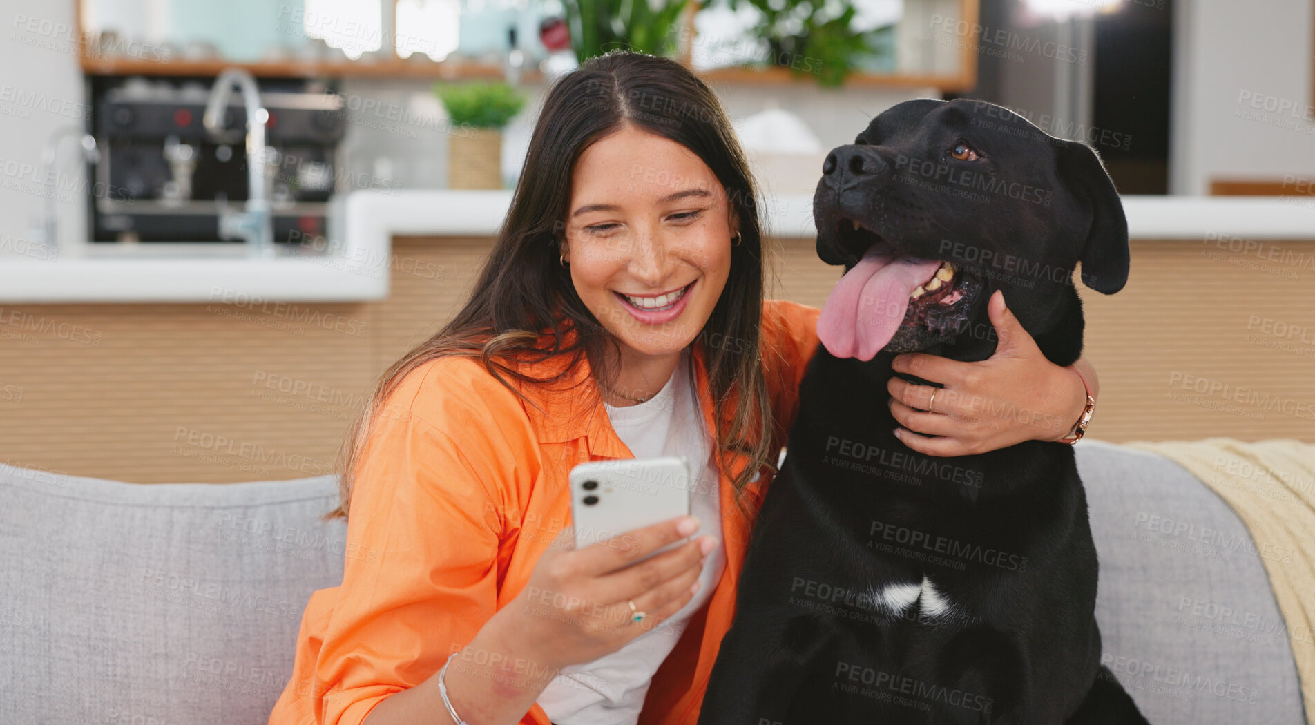 Buy stock photo Happy woman, dog and phone in home living room on sofa for care, hug and friends relax together. Couch, smartphone and person with pet animal bonding on social media, internet app and typing online