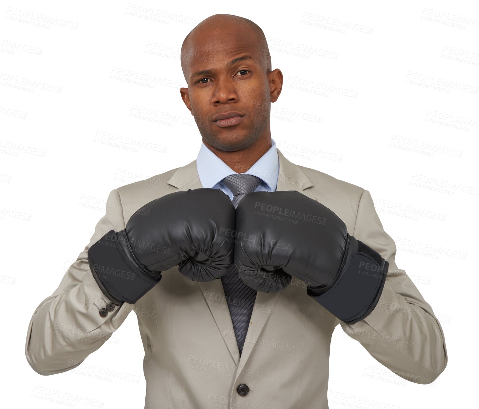 Buy stock photo Boxing gloves, professional and portrait of business black man on isolated, png and transparent background. Corporate manager, power and serious male person for empowerment, challenge and fight