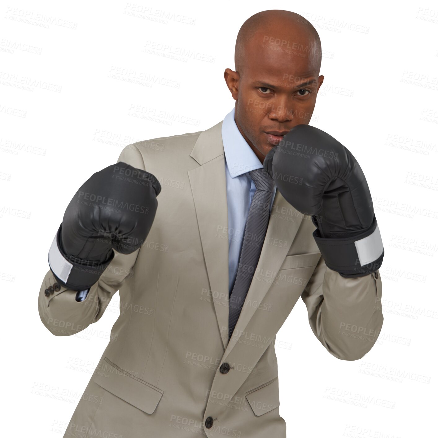 Buy stock photo Boxing gloves, fight and portrait of business black man on isolated, png and transparent background. Corporate manager, professional and serious male person for empowerment, challenge and conflict