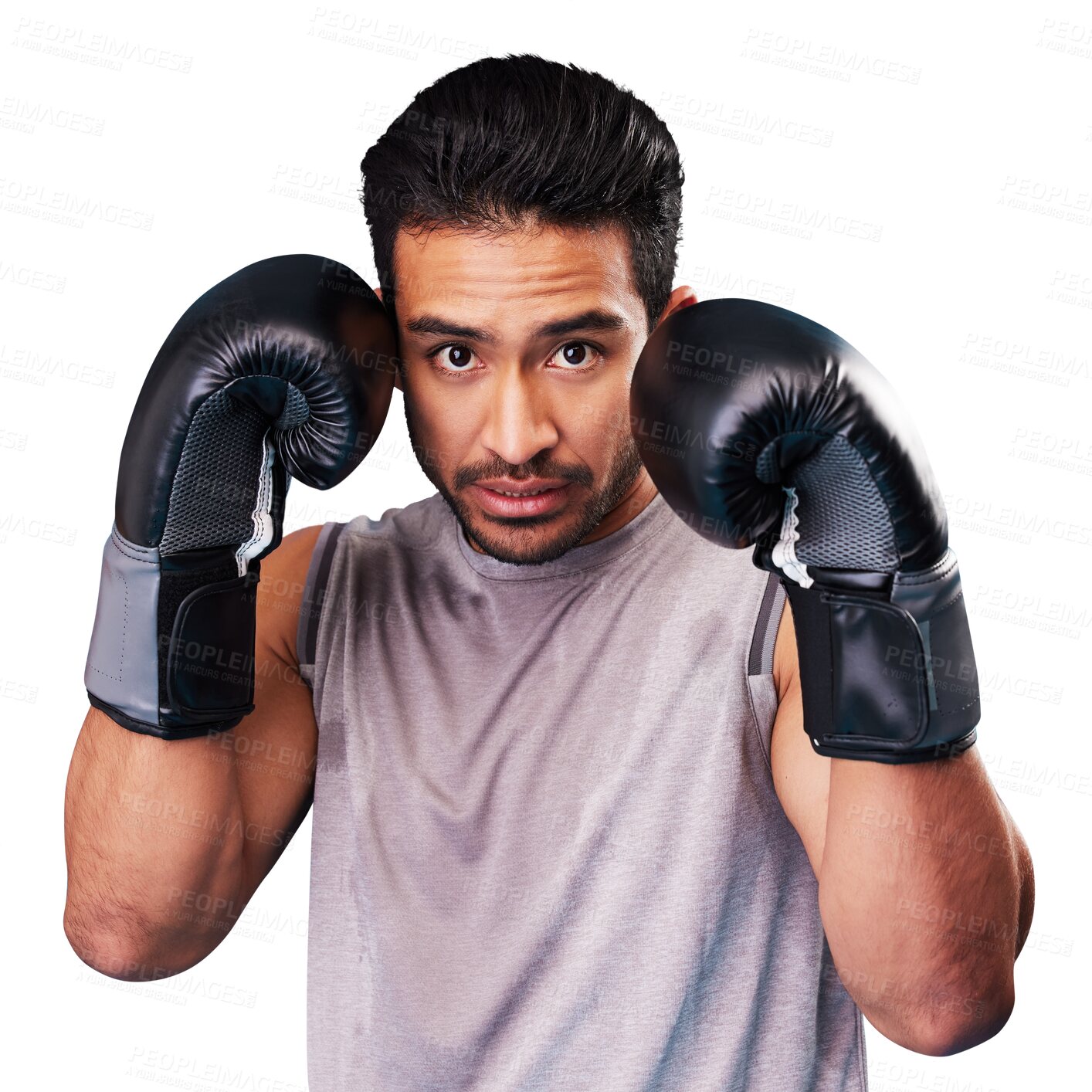 Buy stock photo Boxing, man and portrait with gloves for sports isolated on transparent png background for punch, challenge and champion. Strong asian boxer ready for fighting, fitness training or power for exercise