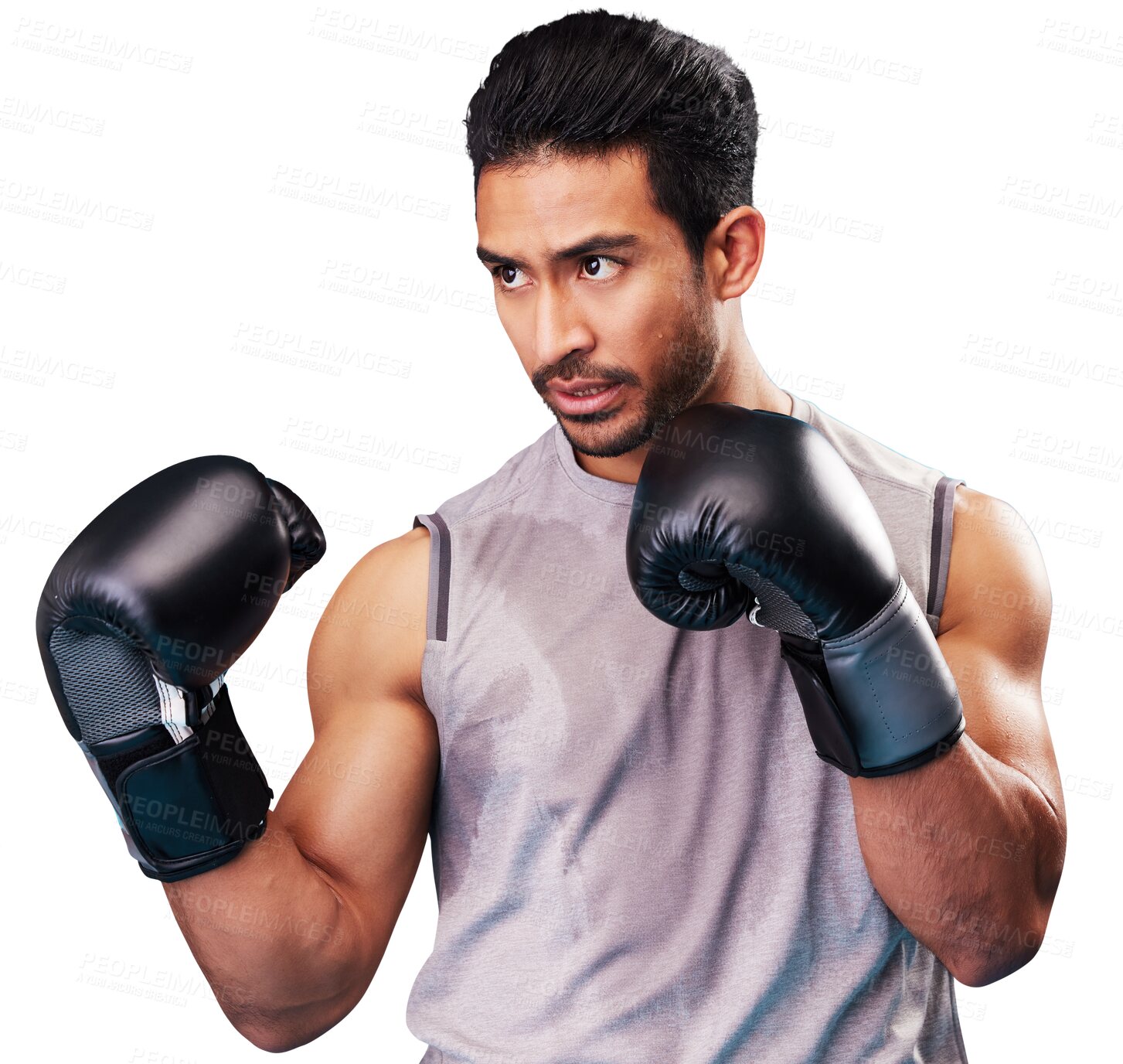 Buy stock photo Boxing, man and gloves for sports isolated on transparent png background for punch, challenge and champion. Strong asian boxer focus for fighting, fitness and power for exercise, action and training 