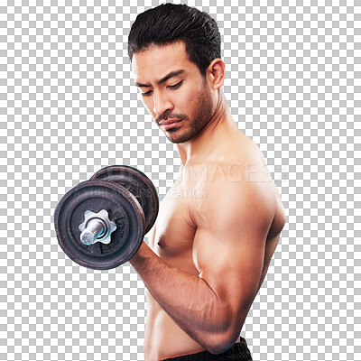 Weightlifting, fitness and man with dumbbell training, exercise or workout isolated in a studio blue background. Bodybuilder, wellness and healthy young person doing body or bicep strength endurance
