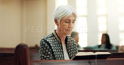 Bible, religion and a senior woman in a church for a sermon on faith or christian belief while sitting in a pew. Prayer, worship or reading with an elderly female person hearing about God and Jesus