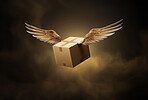 Flying box transportation express delivery order service. Box with wings background concept