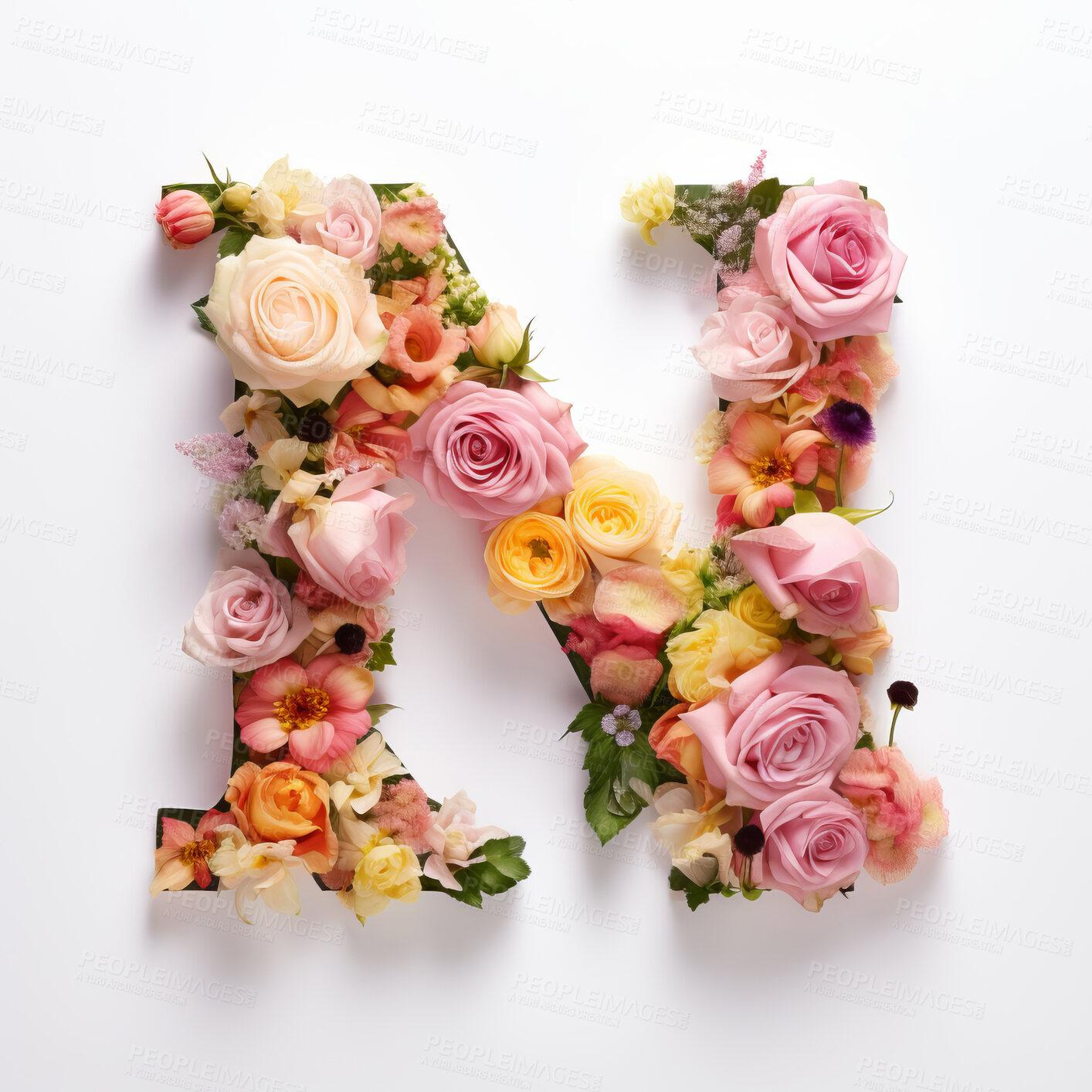 Buy stock photo Colorful alphabet capital letter N made with flowers. Spring summer flower font.