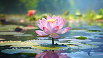 Beautiful pink waterlily or lotus flower in pond. Zen and mindfulness practice