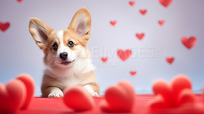 Corgi puppy with hearts on bokeh background in studio. Dog gift present idea