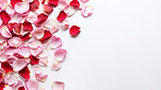 White background with red rose petals and copy space. Wedding invitation, Valentines Day party.