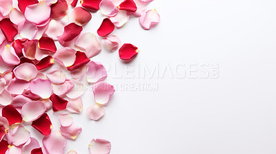 White background with red rose petals and copy space. Wedding invitation, Valentines Day party.