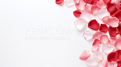 White background with red rose petals and copy space. Wedding invitation, Valentines Day party.