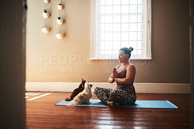 Buy stock photo Shot of a young woman meditating on a yoga mat alongside her dogs at home