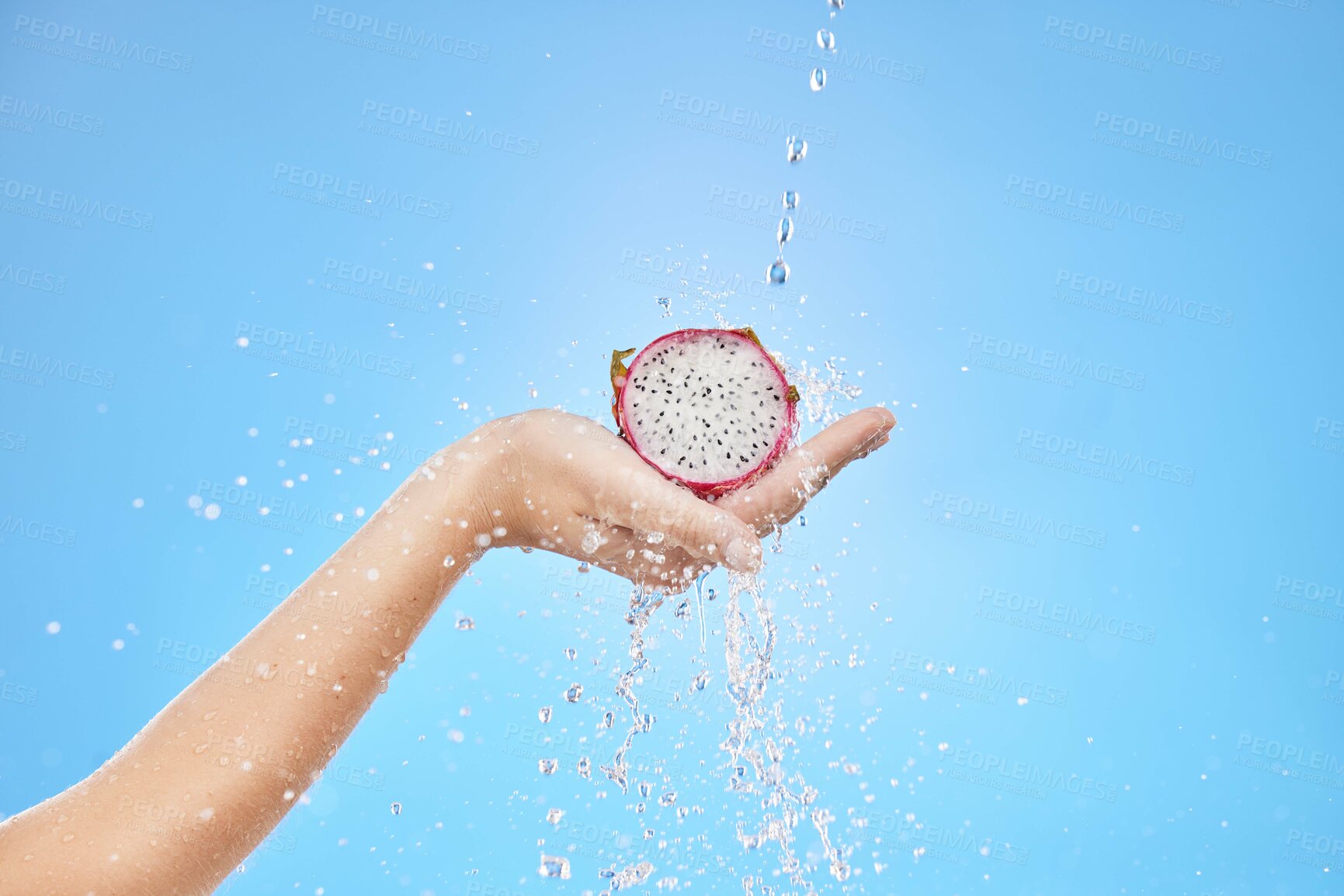 Buy stock photo Dragon fruit, water splash and tropical food in studio for wellness, vegan diet and nutrition on blue background. Woman hands holding pitaya under clean running water for health, detox and vitamins 