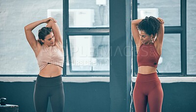 Buy stock photo Teamwork, stretching and friends with women in gym for training, workout and exercise. Fitness, health and personal trainer with girl and muscle warm up for wellness, sports and progress goals