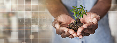 Buy stock photo Soil, overlay and hands of business person for investment, agriculture and economy. Health, profit and future with closeup of employee and plant on banner for hope, sustainability and earth day