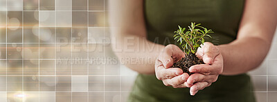 Buy stock photo Plant, overlay and hands of business person for investment, agriculture and green energy. Health, profit and future with closeup of employee and soil on banner for hope, sustainability and earth day