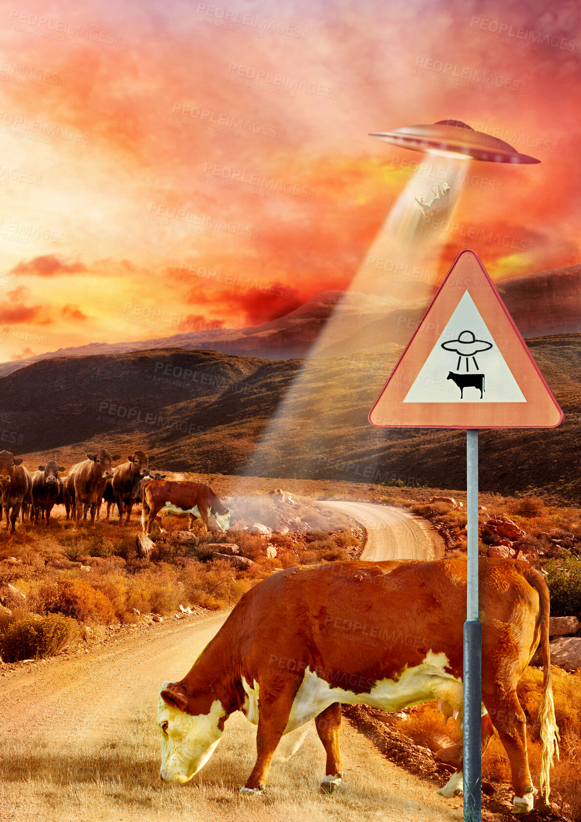 Buy stock photo Ufo, spaceship light and cow abduction in countryside for mission, science fiction and fantasy in sky. Spacecraft, field and flying saucer from outer space for invasion, futuristic and mystery