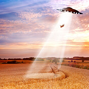 Ufo Raspberry Wheat UFO, farm and field with light, alien invasion and research with cow ...