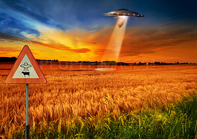 Buy stock photo Cow abduction, ufo and spaceship light in countryside for mission, science fiction and fantasy in sky. Spacecraft, field and flying saucer from outer space for invasion, futuristic and mystery