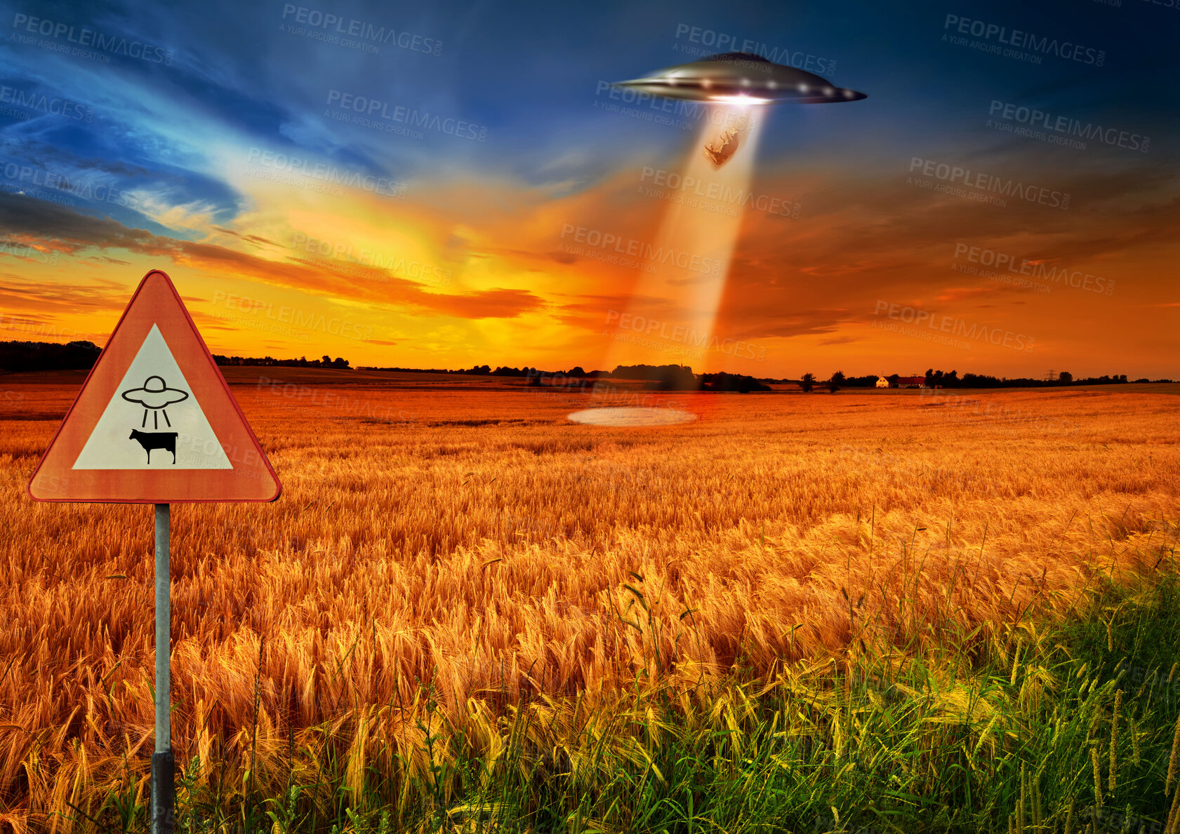 Buy stock photo Cow abduction, ufo and spaceship light in countryside for mission, science fiction and fantasy in sky. Spacecraft, field and flying saucer from outer space for invasion, futuristic and mystery