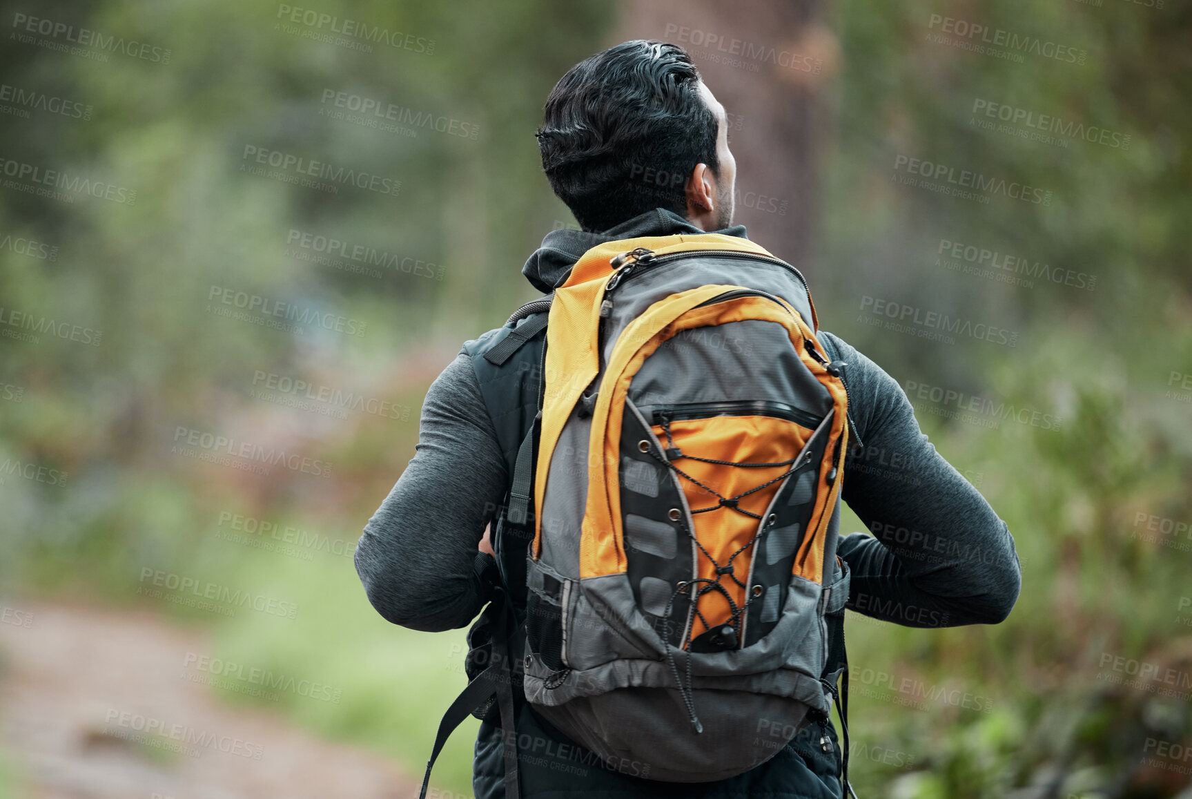 Buy stock photo Man, backpack and walking with back, view and camping travel in the forest for holiday. Exercise, trekking workout and hiking in the woods for vacation with freedom on nature path and a journey