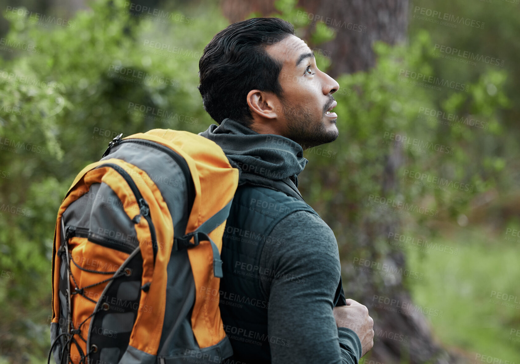 Buy stock photo Man, backpack and walking with view, thinking and camping travel in the forest for holiday. Exercise, trekking workout and hiking in the woods for vacation with freedom in nature on a journey