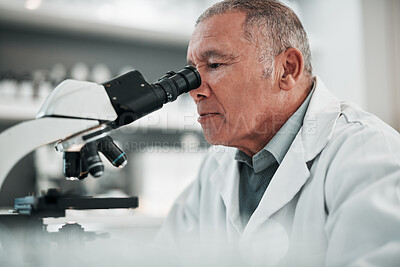 Buy stock photo Microscope, senior man and science with research, medical and data analysis with biotechnology. Old person, scientist or researcher with laboratory equipment, check sample and test dna with pathology