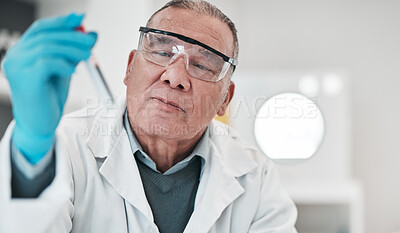 Buy stock photo Scientist, man and test tube in laboratory for medical investigation, chemistry research and vaccine. Science, senior worker and dna analysis for blood sample, medicine and healthcare development 