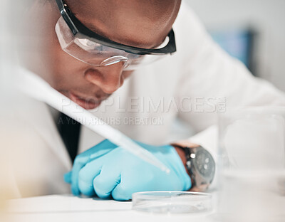 Buy stock photo Science, man and pipette with petri dish in laboratory for medical investigation, chemical results and vaccine development. African scientist, dropper and research liquid solution for chemistry test