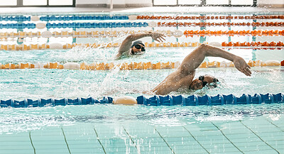Workout, sports and a swimmer in a pool during a race, competition or cardio training at a gym. Exercise, water and fitness with an athlete swimming to improve speed, health or freestyle performance