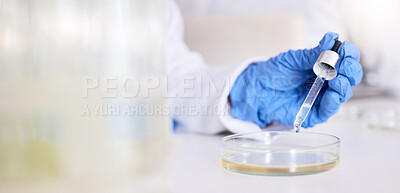 Buy stock photo Hand, petri dish and liquid, chemical and pipette in laboratory with scientist person and experiment. Liquid solution, glass and test for medical research, science study and chemistry with closeup