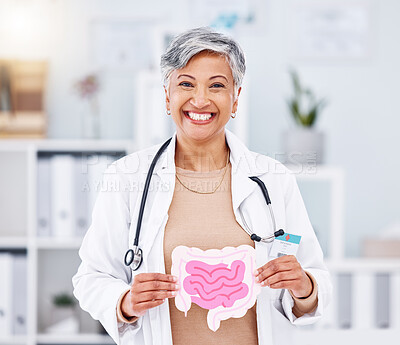 Buy stock photo Portrait, doctor and mature woman with intestine model in hospital clinic. Face, gastroenterology and medical professional smile for healthcare of gut, wellness of digestive system and colon anatomy