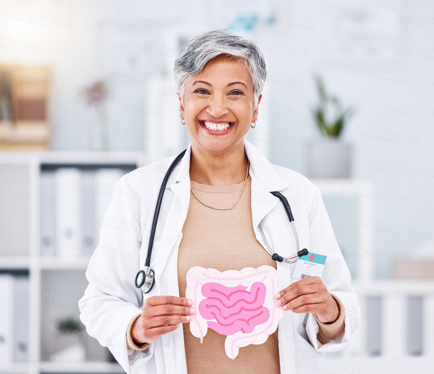 Buy stock photo Portrait, doctor and mature woman with intestine model in hospital clinic. Face, gastroenterology and medical professional smile for healthcare of gut, wellness of digestive system and colon anatomy