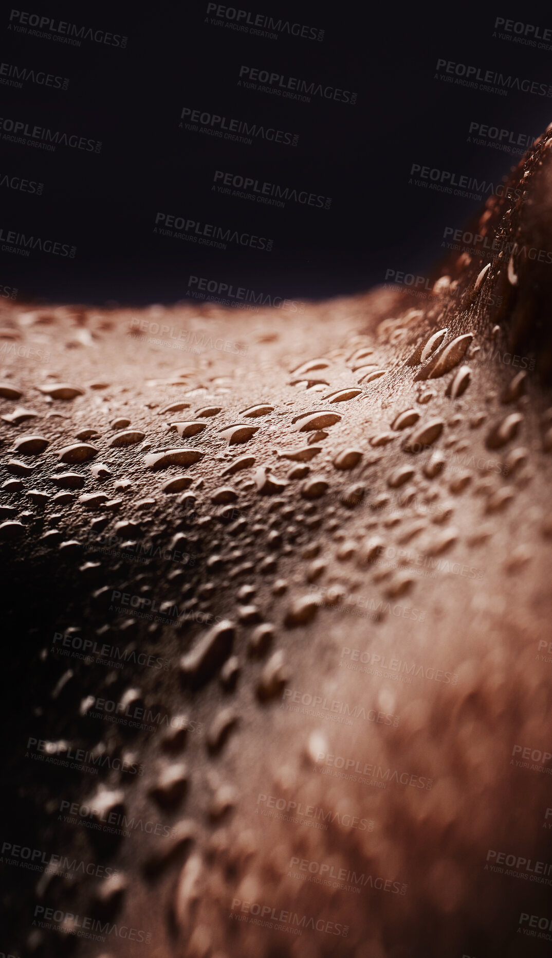 Buy stock photo Skin, water drops and wet body of a person for dermatology, skincare and hygiene. Zoom on aesthetic model for art deco, human and sweat with droplets, creative and wellness on a black background